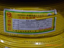 品牌连接未来，专业铸就信赖——记上海市浦东新区三林镇晓龙电线电缆经营部